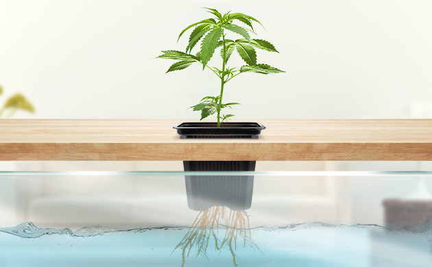 Система DWC Горшок помещенный в резервуар с питанием