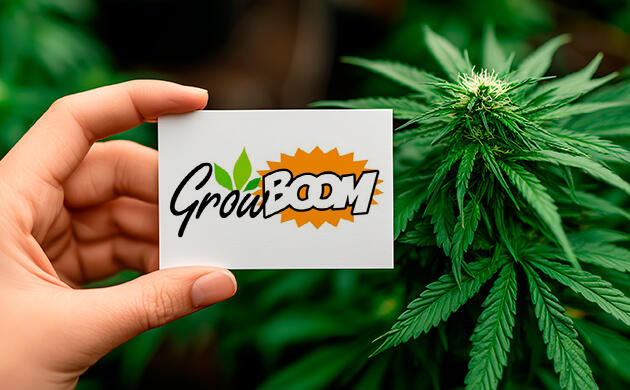 GrowBOOM – интернет-магазин для выращивания каннабиса Гроверское оборудование и аксессуары от GrowBOOM