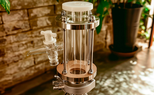 Где содержится гумулен: от хмеля до имбиря Гумулен в каннабисе и хмеле: процесс извлечения