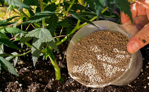 Минеральный состав для сативы