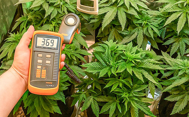 Сравнительный анализ LED-фитоламп и ДНаТ Сравнение характеристик LED и ДНаТ