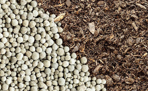 Выбор между органическими и минеральными удобрениями Чем удобрять коноплю: органика против химии