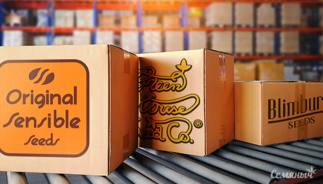 Новинки от GHS, OSS, Blimburn Новые сорта конопли от GHS, OSS, Blimburn