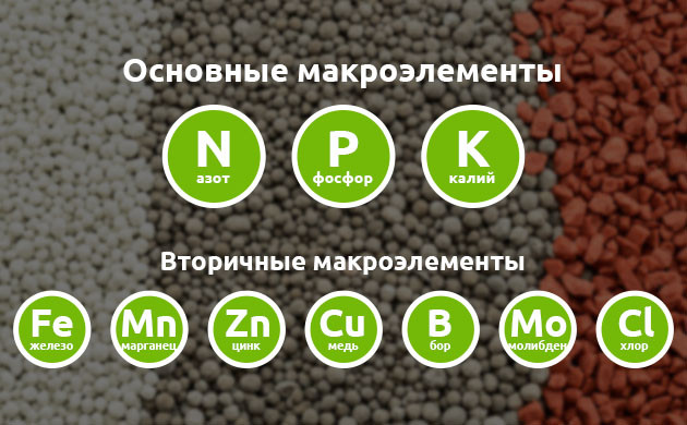 Что должно быть в почвосмеси Индивидуальная смесь удобрений
