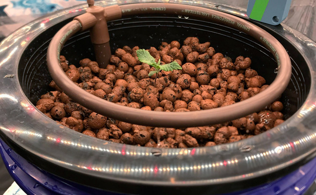 Пересаженный росток Горшок гидропонной установки