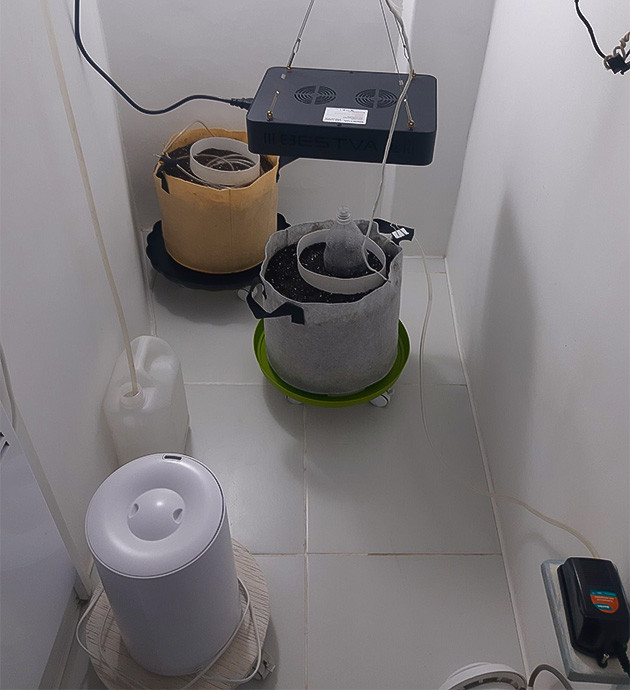 День рождения девочки Бени Световой режим для Bruce Banner Auto