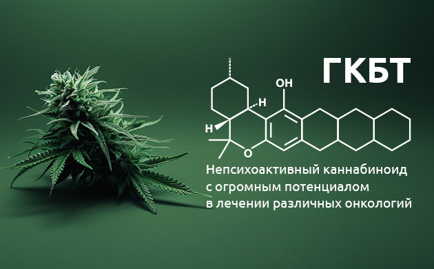 Гексаканнабитриол: Гидроксилированная производная КБД Ферментативное преобразование КБД: Что мы знаем о ГКБТ?