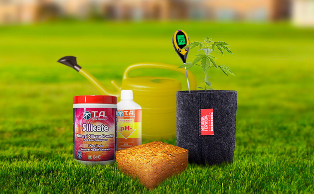 Удобрение конопли на кокосе Подкормка кустов каннабиса на кокосе