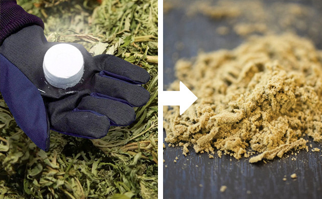 Производство кифа и гашиша из листьев марихуаны с сухим льдом Конопляный киф