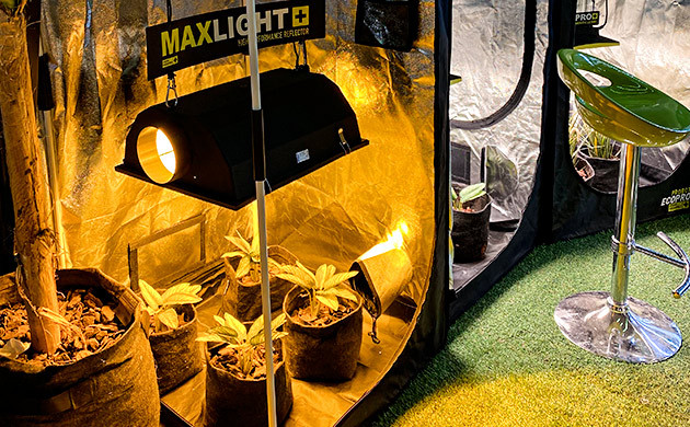 Выставка гроубоксов с освещением Spannabis 2023 в Испании