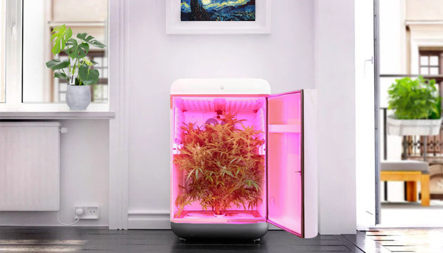 Выращивание марихуаны в гроубоксе Seedo Гроубокс Seedo