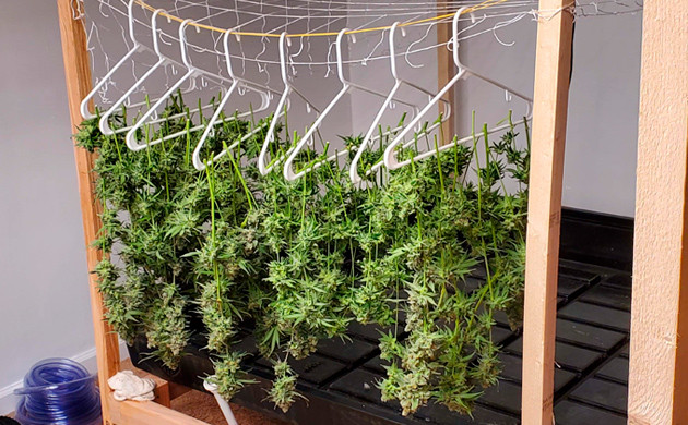 Правильно подвешенные ветви Подвешивание ветвей