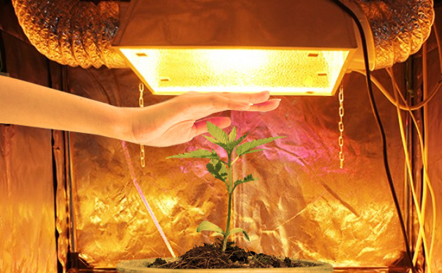 Как определить необходимое расстояние с помощью руки Определение расстояния до светильника с помощью руки