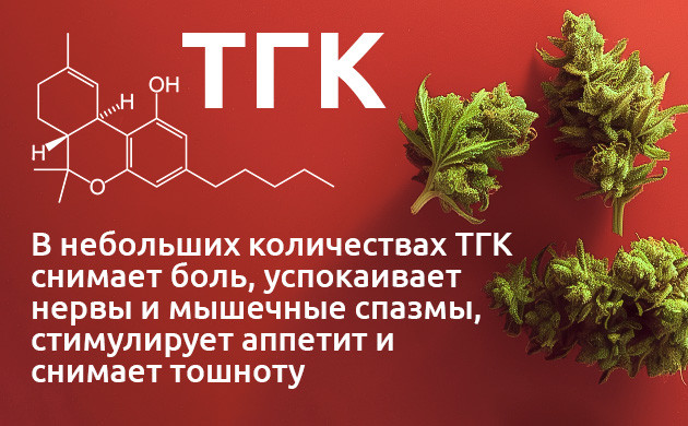 ТГК:польза и риски каннабиноида Дельта-8 и Дельта-9: сравнение ТГК