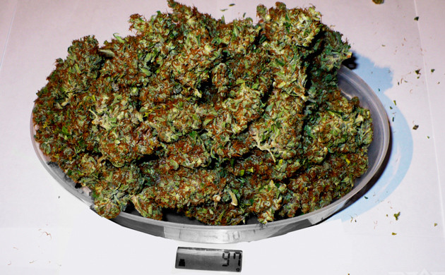 Собранный урожай Взвешивание сухих шишек