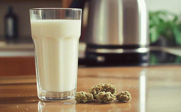 Рецепт приготовления канна-молока Приготовление молока с каннабисом