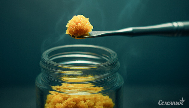 Экстракция конопли: бабл хэш Пузырьковый хэш: чистый экстракт каннабиса