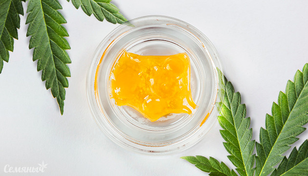 Что такое терпеновый соус? Что такое Terp sauce?