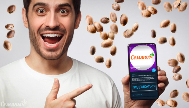 Розыгрыш 100 семян в Телеграме 100 семян