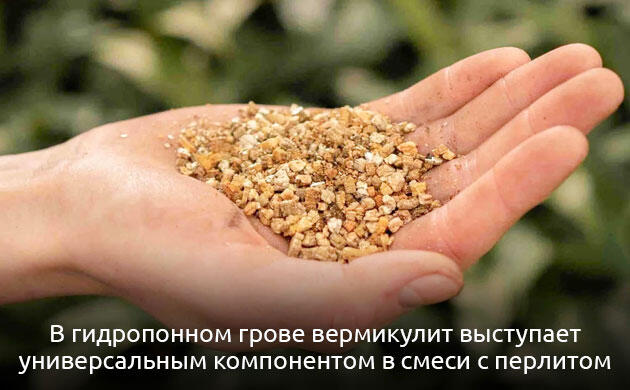 Вермикулит: пористый и влагоёмкий минеральный субстрат для гидропоники Вермикулит как субстрат для гидропонного выращивания конопли