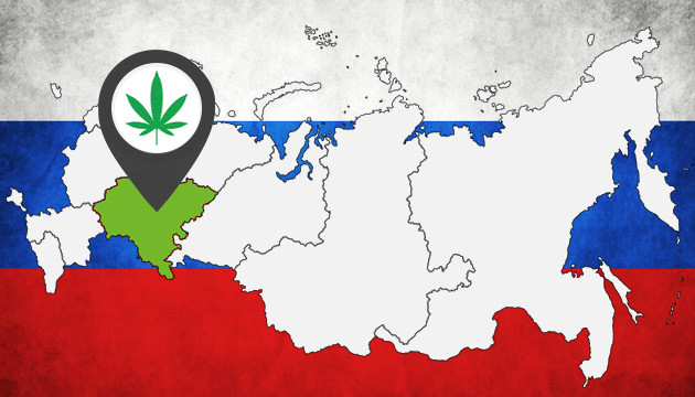 Подборка сортов для выращивания в климате Приволжского округа Сорта для выращивания в аутдоре в Приволжском округе РФ