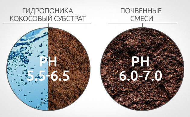 Уровень pH ферментного раствора Уровень pH раствора ферментов