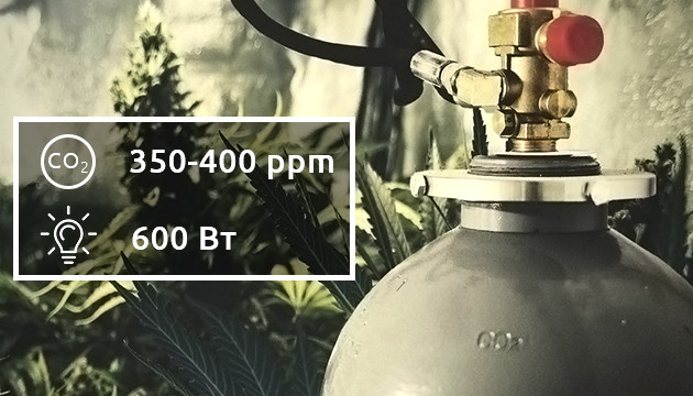 Необходимое количество углекислого газа Углекислый газ