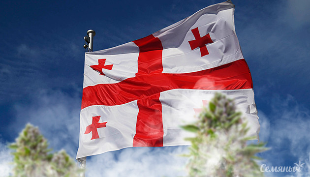 Поправки, снижающие возраст, с которого разрешено использование каннабиса В Грузии снизят возрастной порог для легального использования каннабиса