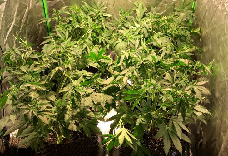 Использование LST метода Кусты после LST