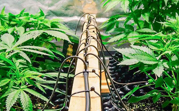 Выбор формы, размера и материала горшка Оптимальный вариант под свои условия автополива