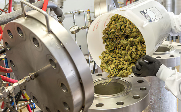 CO₂-экстракция: высокая степень чистоты КБД Процесс CO₂-экстракции каннабиноидов