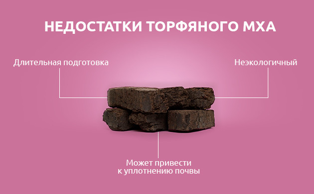 Недостатки торфяного мха Недостатки торфяного мха для выращивания конопли