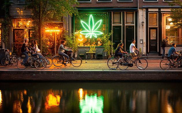 Амстердам — колыбель европейской канна-культуры Амстердам и легализация каннабиса: первые кофешопы и гроушопы