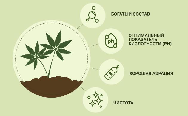Характеристика хорошего грунта для конопли Критерии для выбора грунта для каннабиса