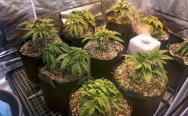 Середина пятой недели Установка нового освещения