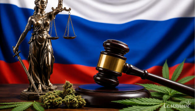 Ответственность за выращивание конопли в России Административная и уголовная ответственность за выращивание