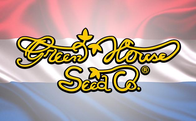 Нидерландский сидбанк с мощными гибридами и многократными победами на выставках Green House Seeds – представитель европейской селекции