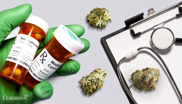 Марихуана в медицине