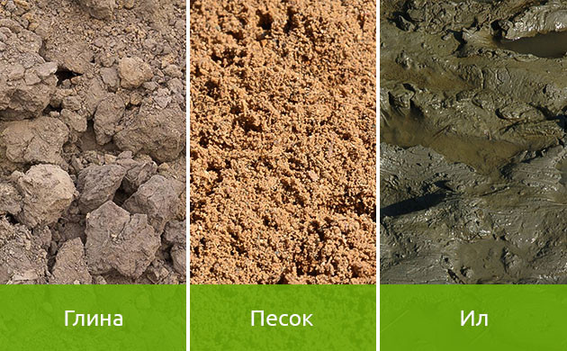 Состав живой почвы Минералы живой почвы