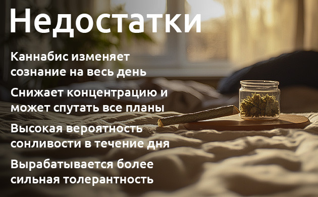 Проблемы утреннего употребления каннабиса Сонливость и другие минусы конопли с утра