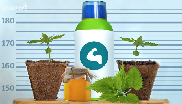 Стимуляторы для рассады конопли Баночки стимуляторов для рассады