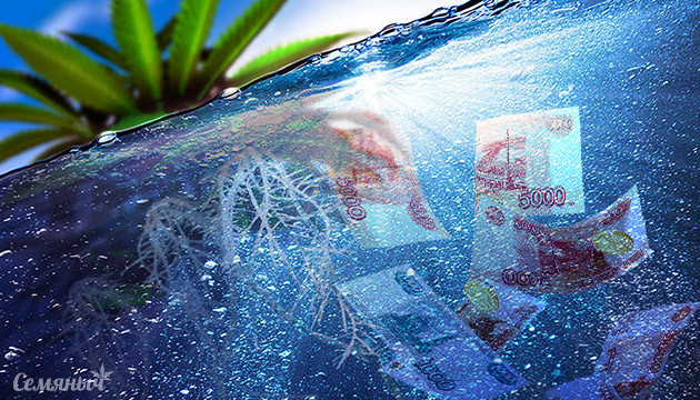 Бюджетная сборка гидропонной системы