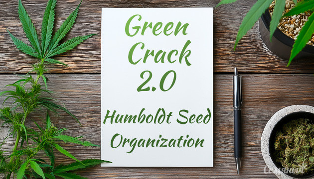Выращивание сорта марихуаны Green Crack 2.0 от Humboldt Seed Organization Гроурепорт сорта Green Crack 2.0 от Humboldt Seed Organization