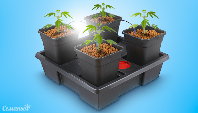 Инструкция по настройке автополива конопли Как настроить автоматический полив