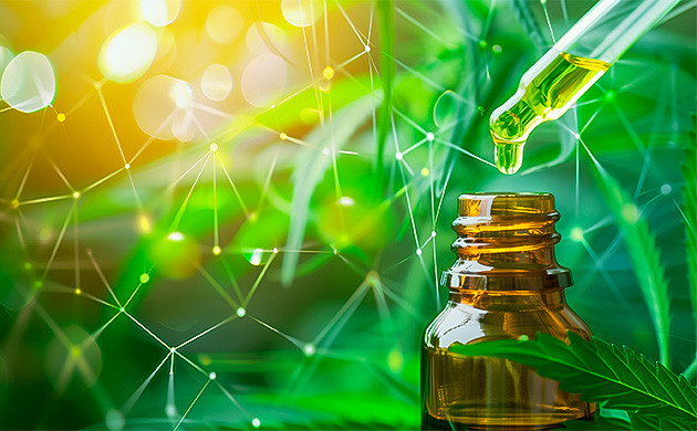 Каннабидиол против ТГК при лечении неврологии Непсихоактивный потенциал КБД против нервных заболеваний