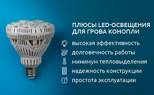 Плюсы и минусы LED-освещения LED-освещение для конопли: преимущества и недостатки