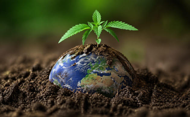 Зелёное будущее планеты