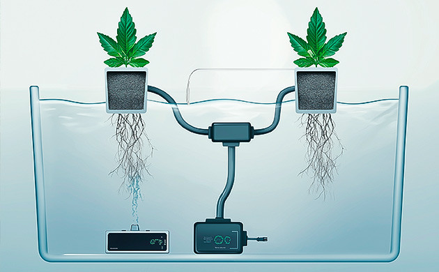 Бабблпоника: кислород и питательные вещества на старте Бабблпоника: идеальная система для ранней стадии роста марихуаны