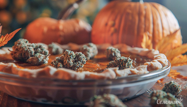 Рецепт тыквенного канна-пирога Как приготовить тыквенный пирог с коноплей