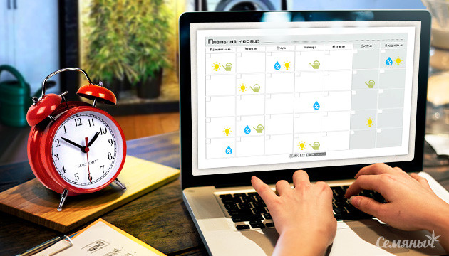 Уход за коноплей понедельно Понедельный уход за автоцветами